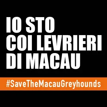 io sto con i levrieri di macau AVATAR FB ita