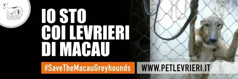 io sto con i levrieri di macau TWITTER ita