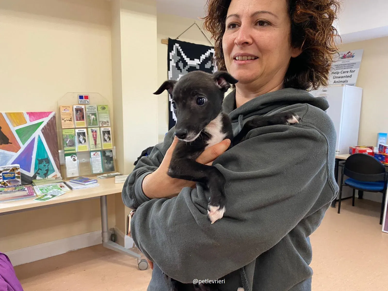 isabel adozione lurcher 21