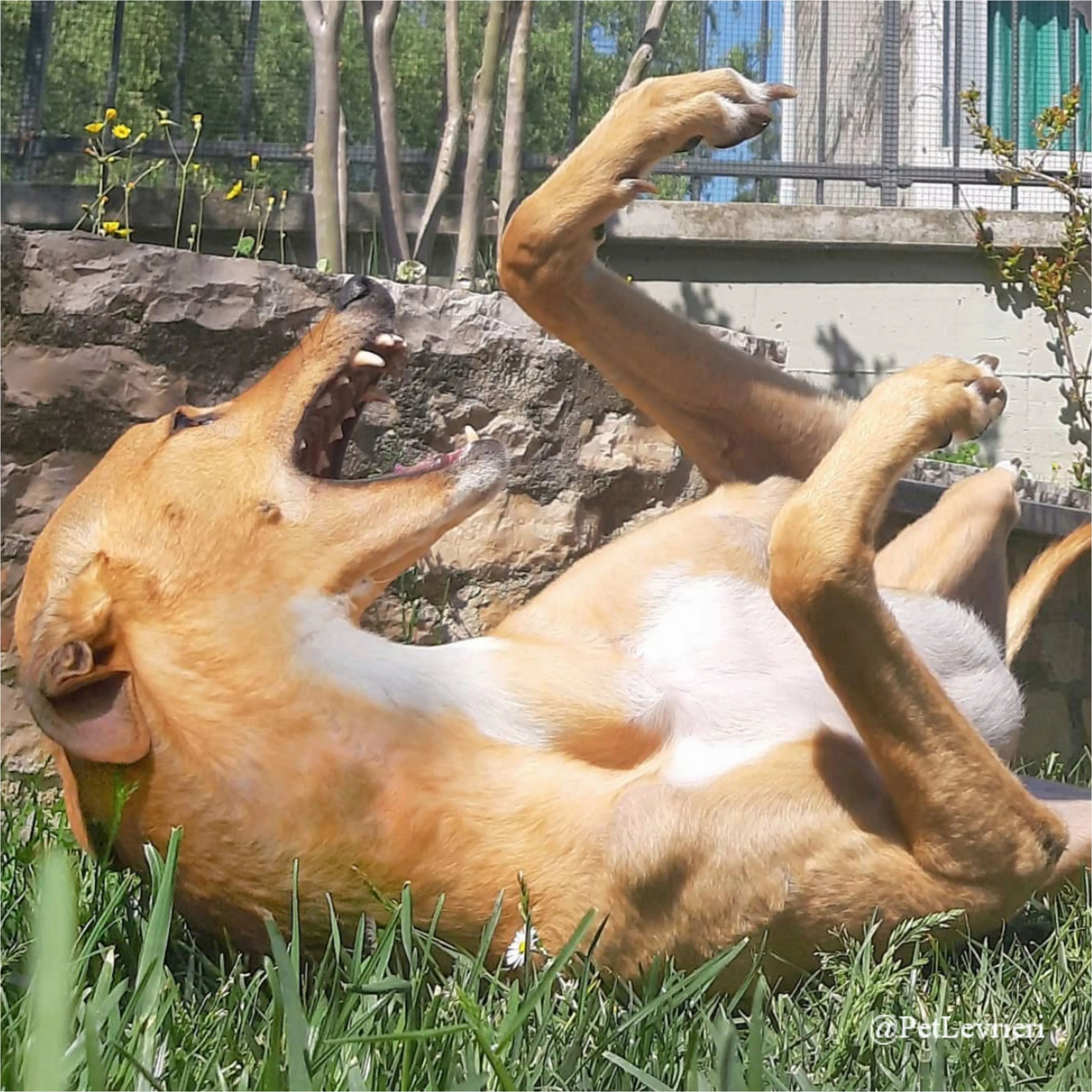 jimbo10New Phototastic Collage