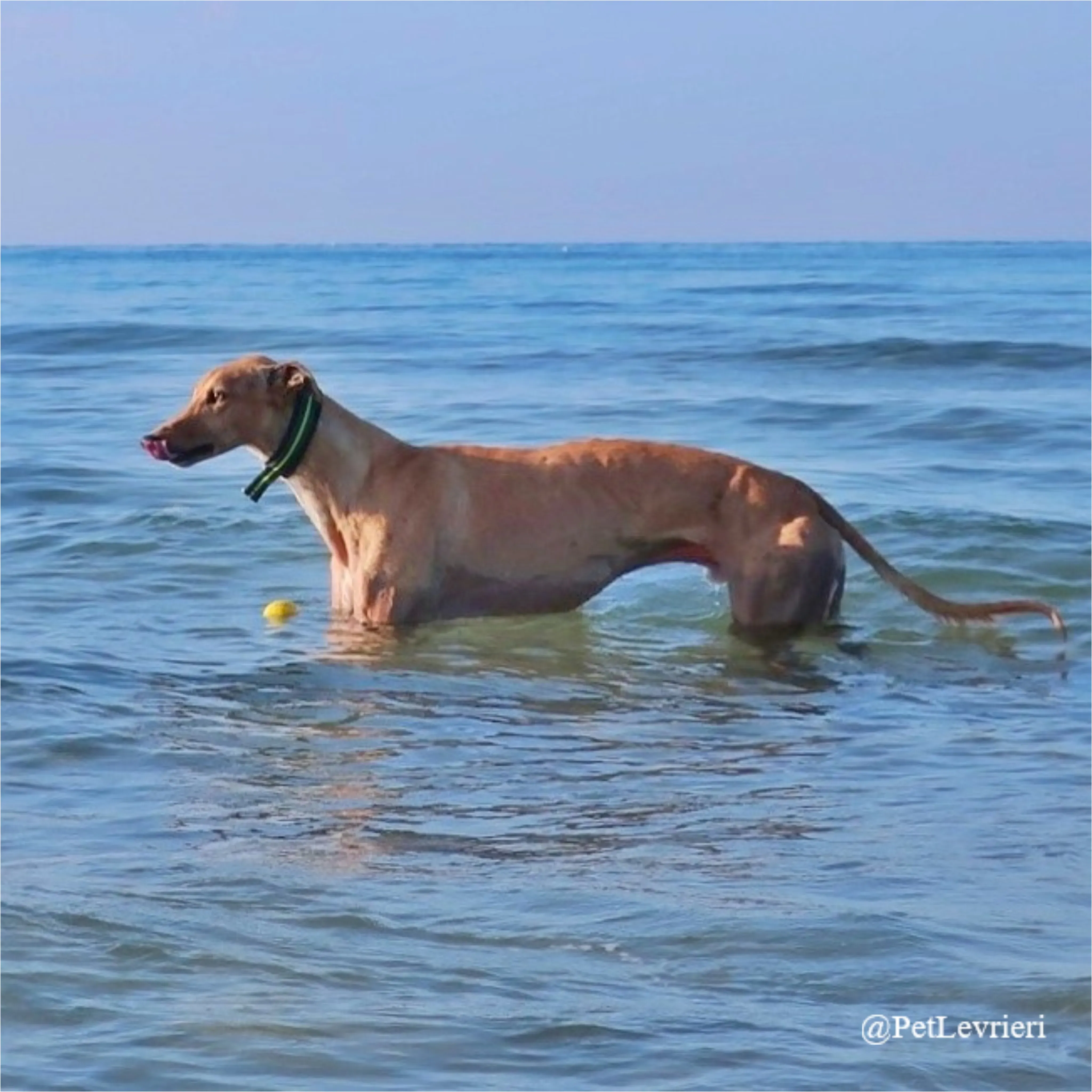 jimbo12New Phototastic Collage