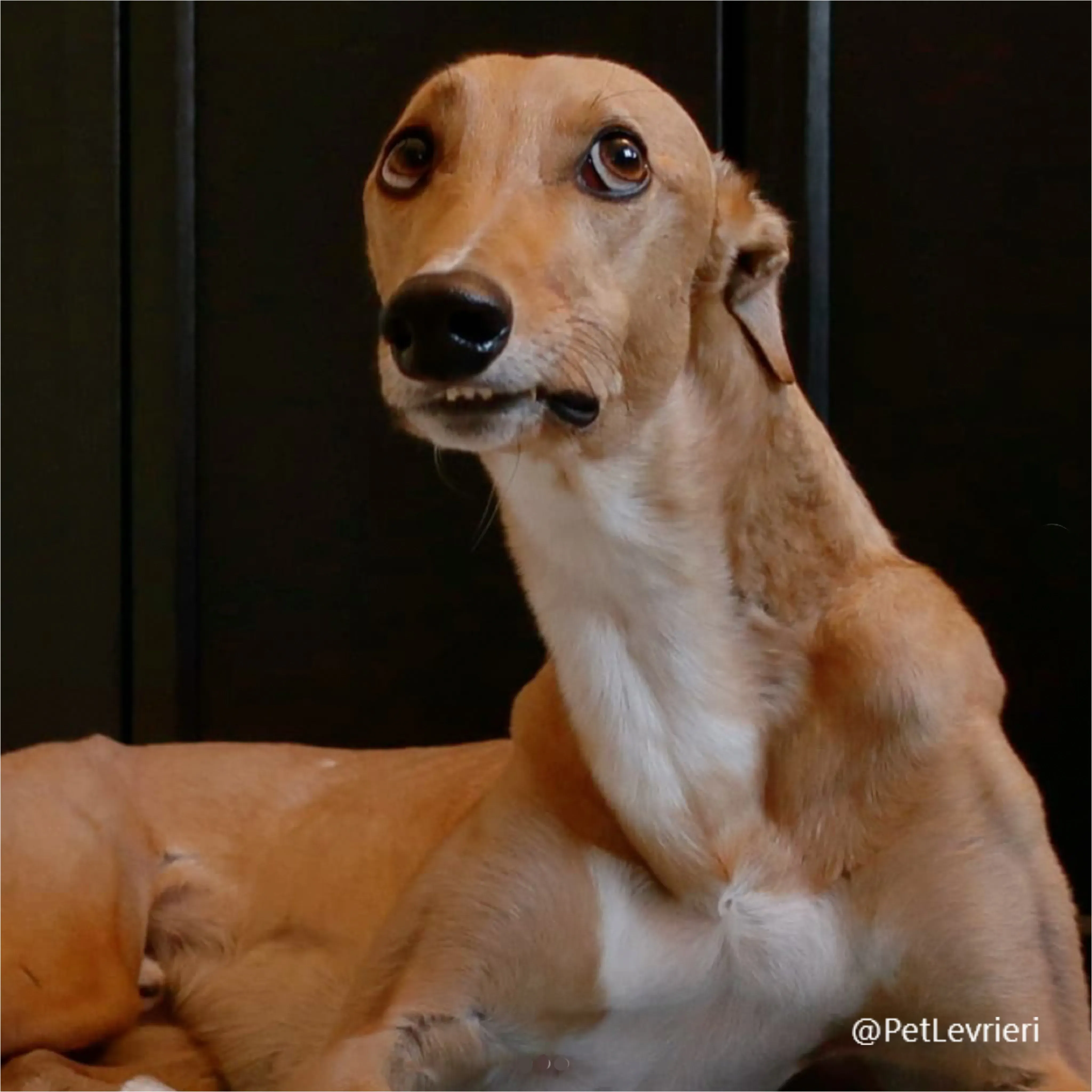 jimbo8New Phototastic Collage