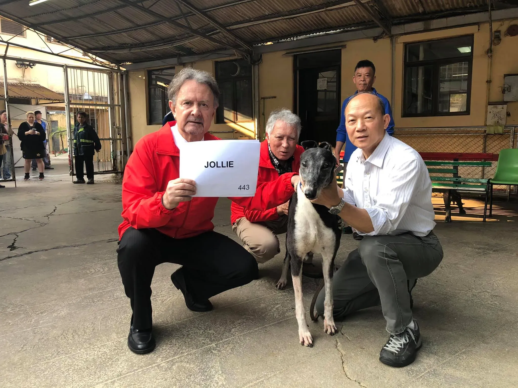 jollie partenza greyhound macao