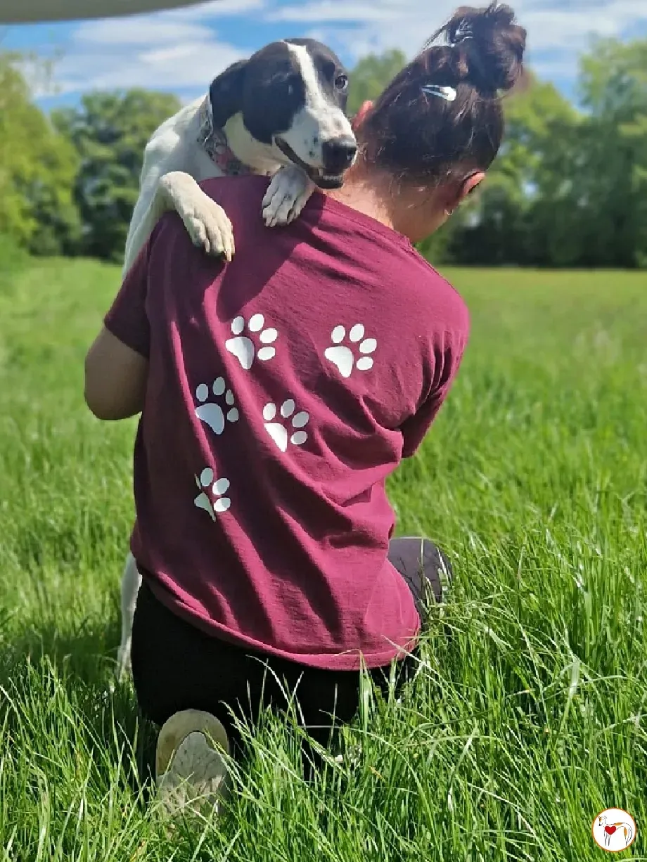 joy grey adozione 15 05 2024 21