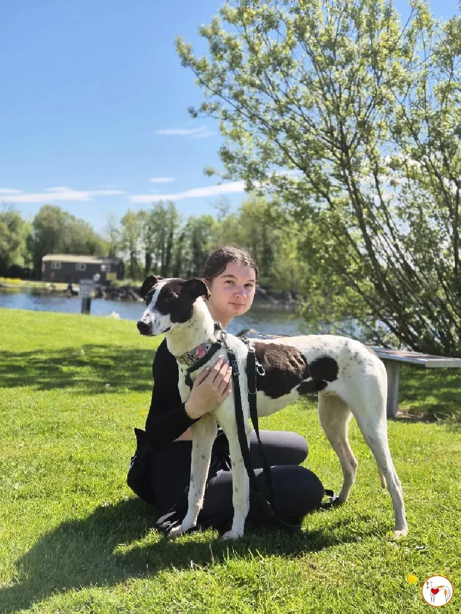 joy grey adozione 15 05 2024 24