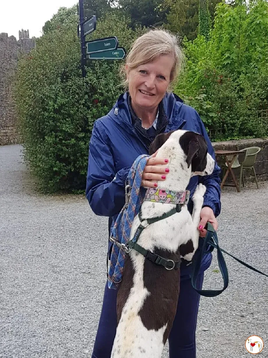 joy grey adozione 15 05 2024 28