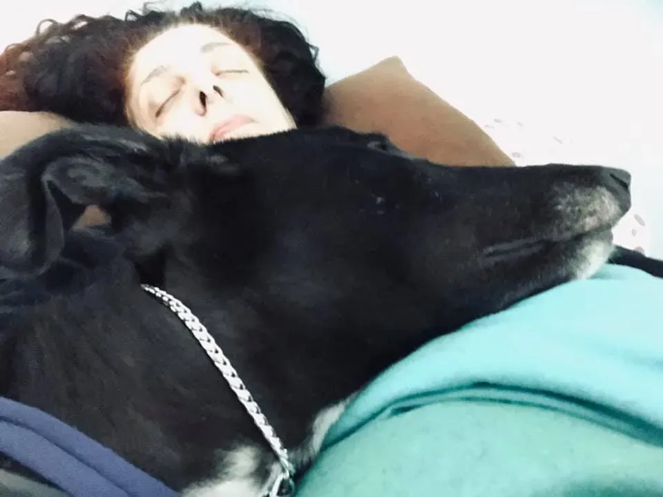 julieta adozione greyhound macao 6