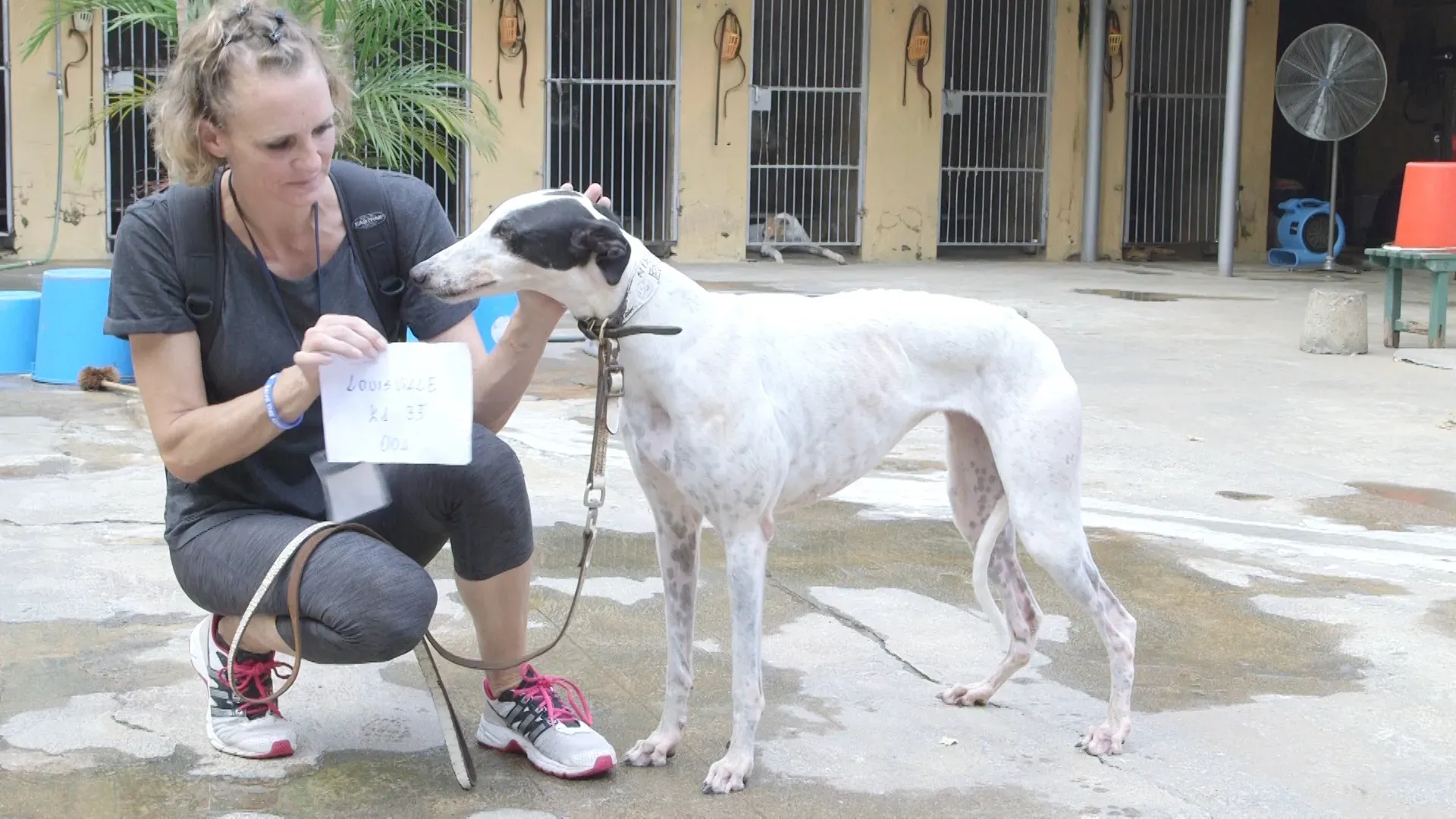 k1 35.00 00 21 10.Still001