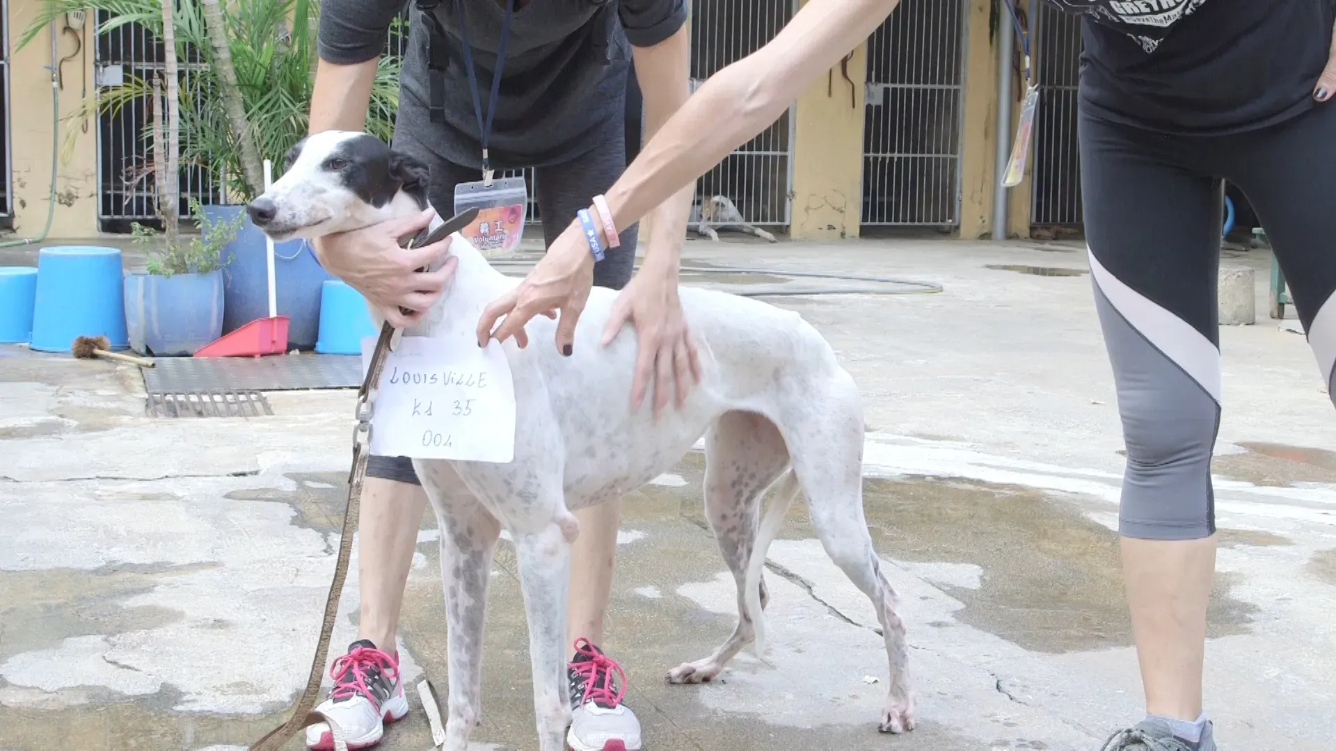 k1 35.00 00 34 00.Still002