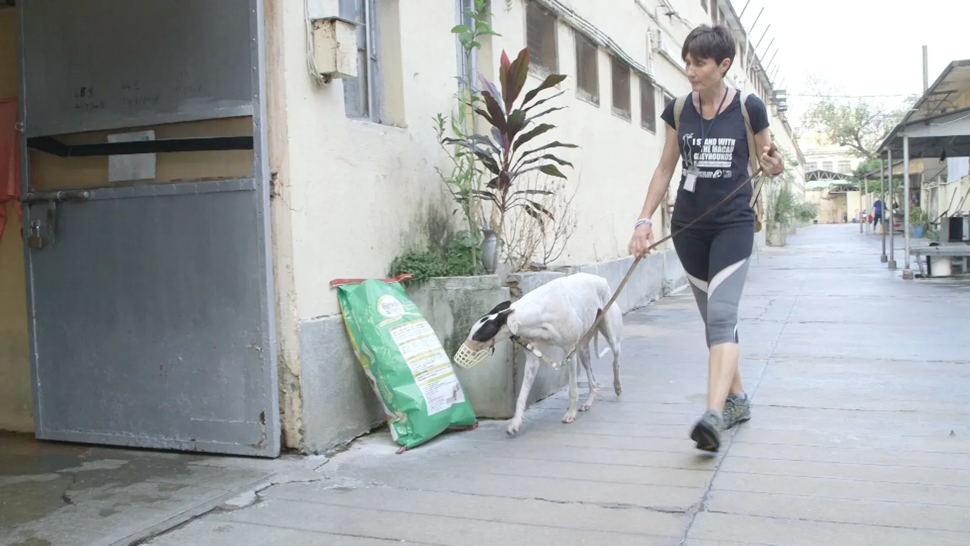 k1 35.00 01 30 16.Still003