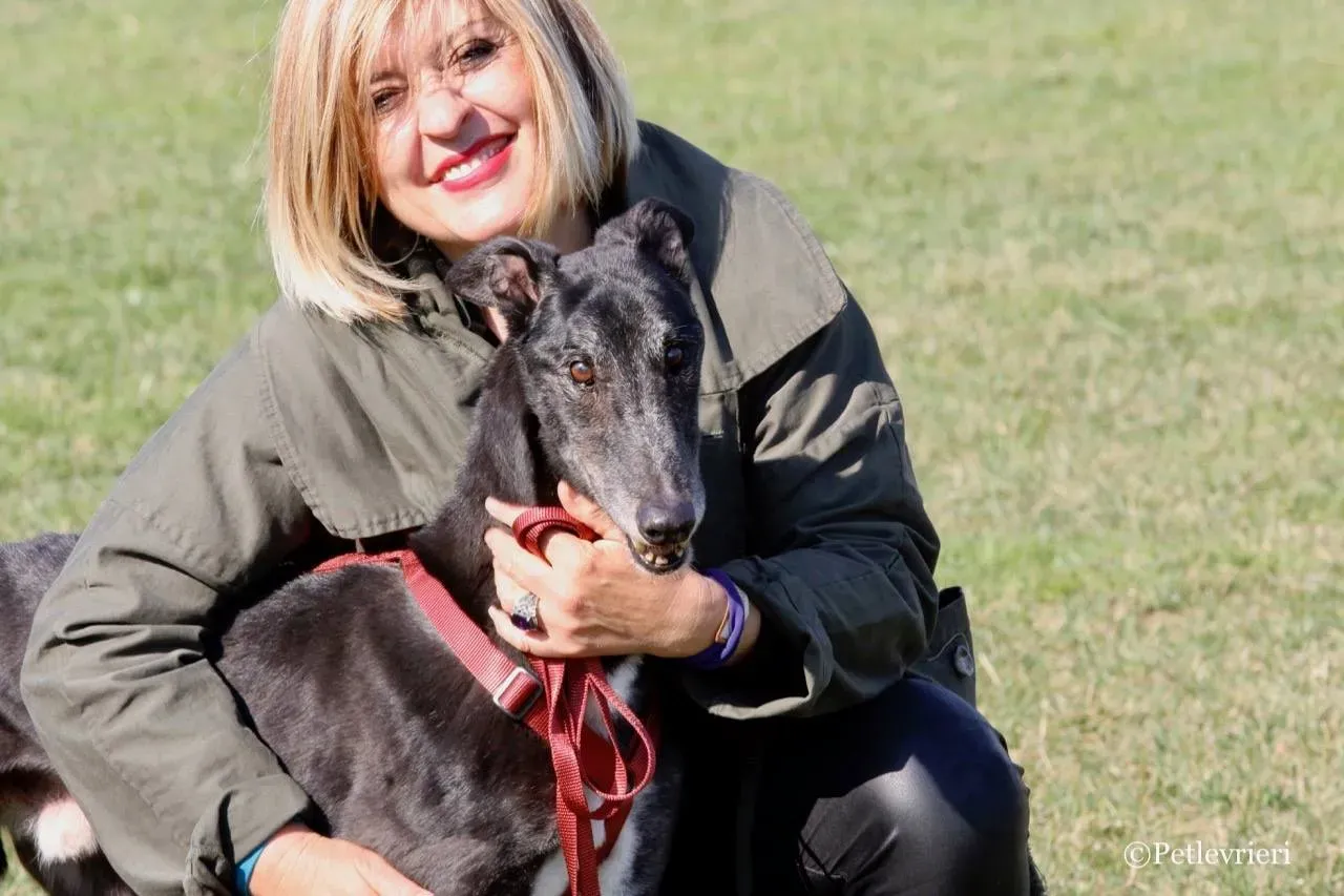 kamikaze king adozione greyhound macao 11