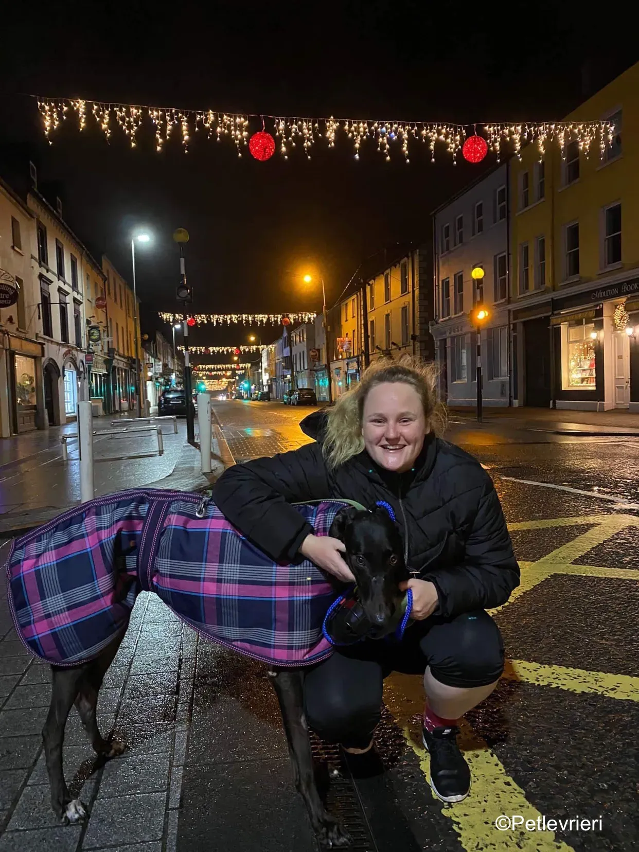 kermit adozione levrieri greyhound 8