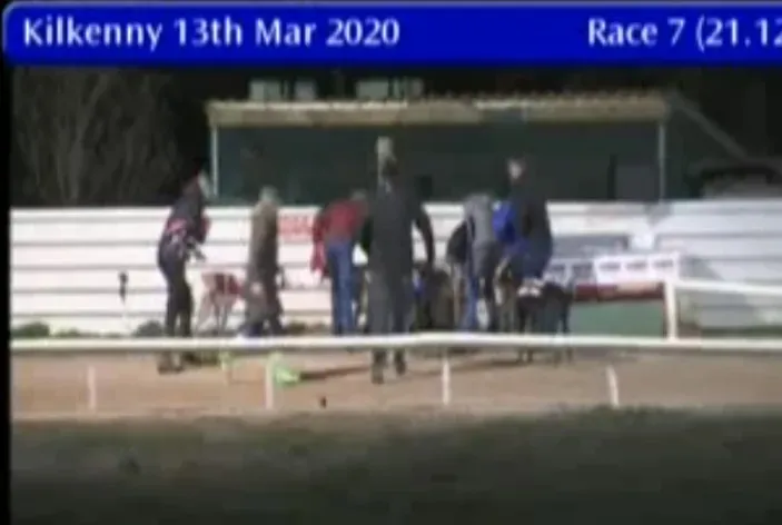 kilkenny greyhound track 13 march 2020 49687472863 o