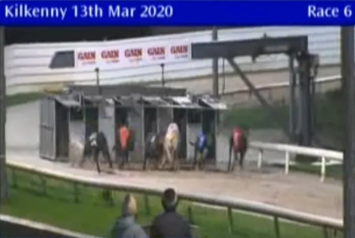 kilkenny greyhound track 13 march 2020 49688006791 o