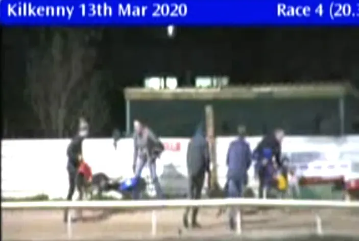 kilkenny greyhound track 13 march 2020 49688310192 o