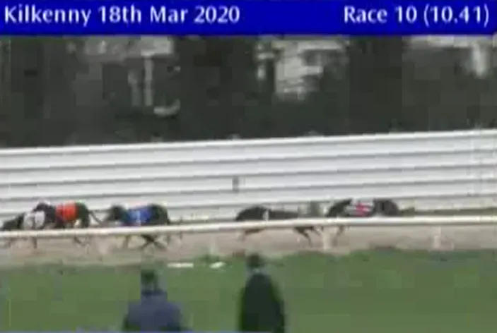 kilkenny greyhound track 18 march 2020 49686502263 o
