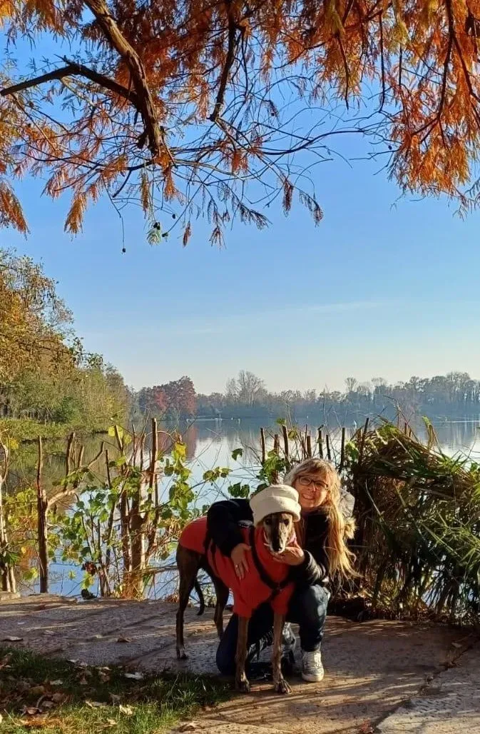 kim galgo pet levrieri felici casa 1