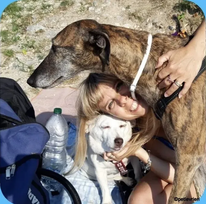 kim galgo pet levrieri felici casa1