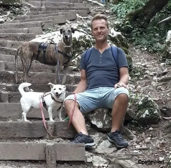 kim galgo pet levrieri felici casa4