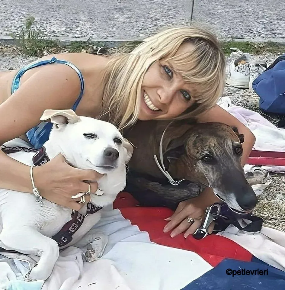 kim galgo pet levrieri felici casa8