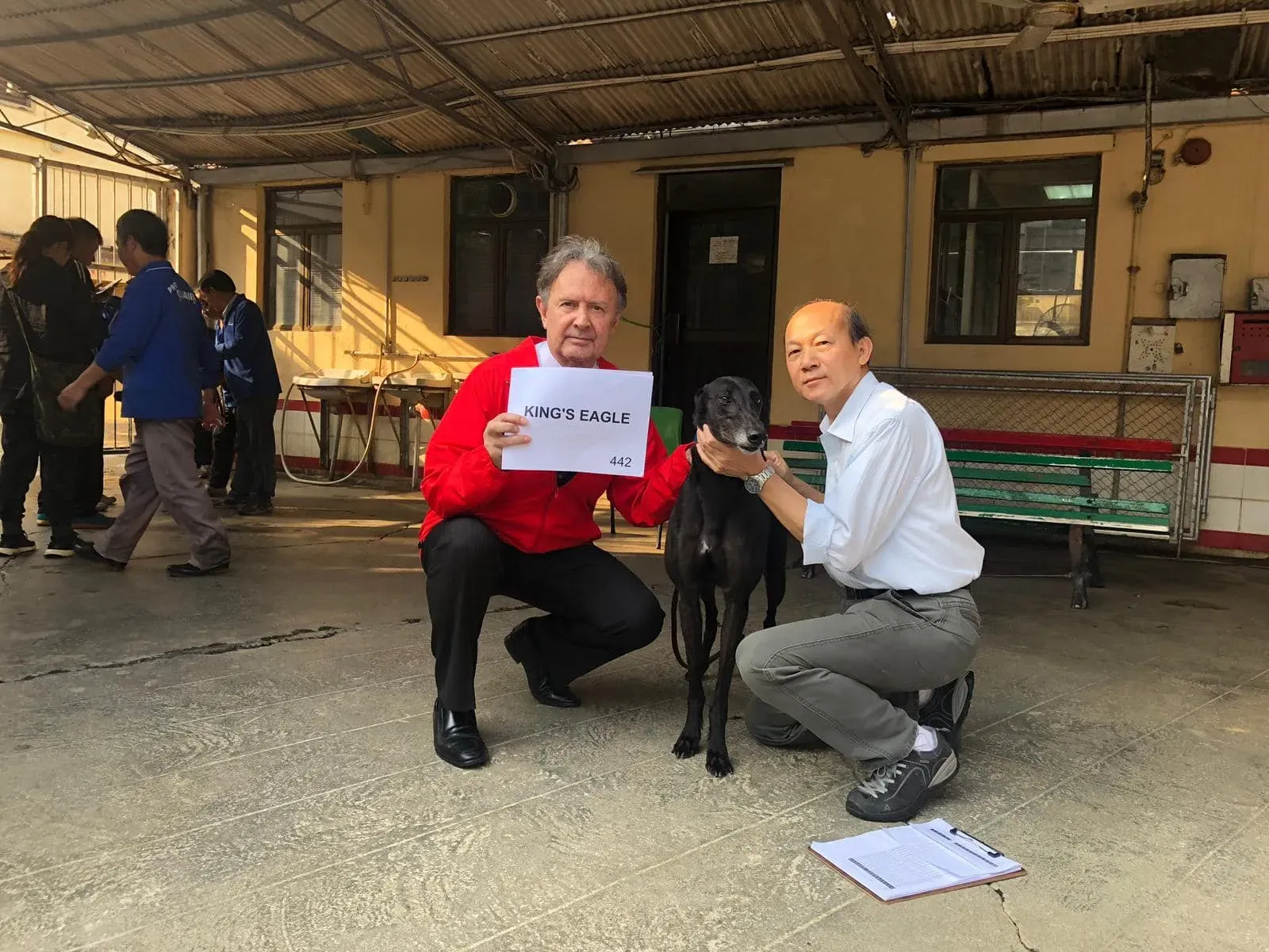 kings eagle partenza greyhound macao