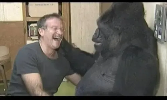 koko e robin williams