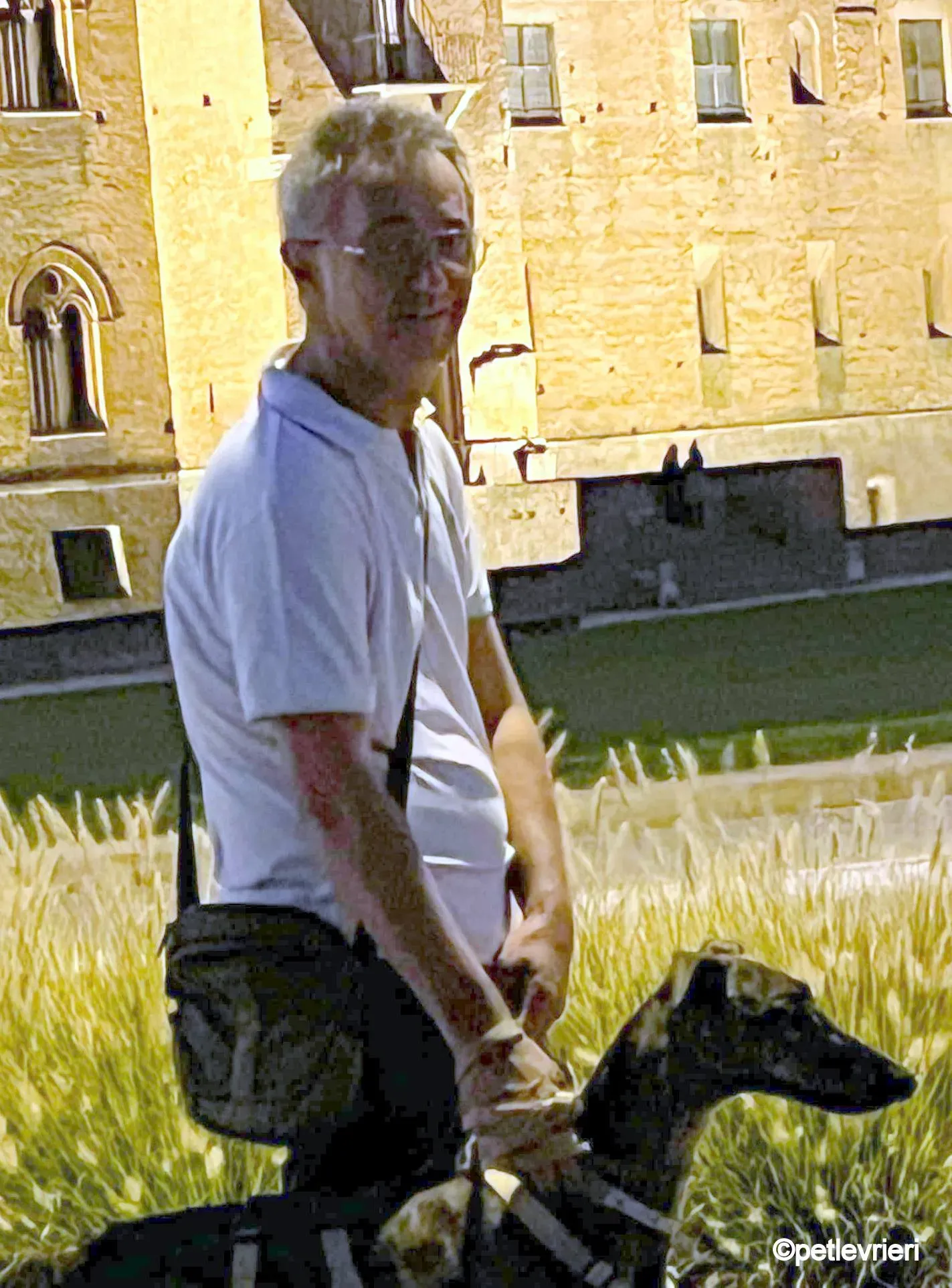 leon galgo pet levrieri felici casa7