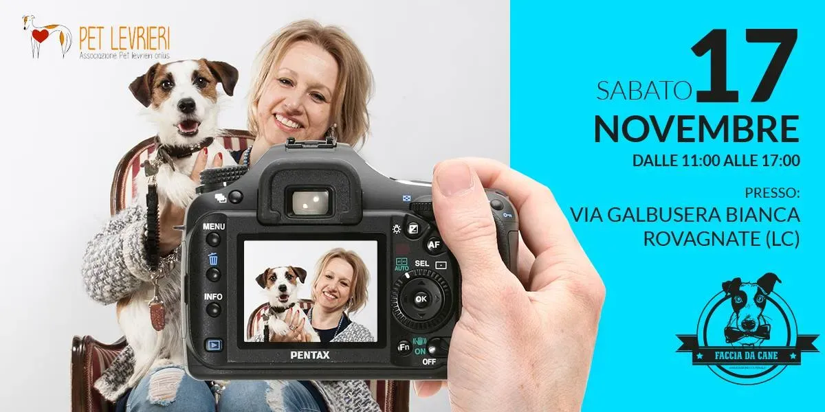 levrieri pet levrieri