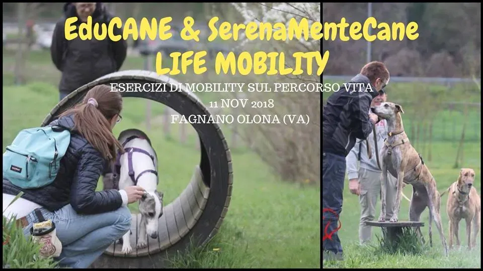 life mobility novembre