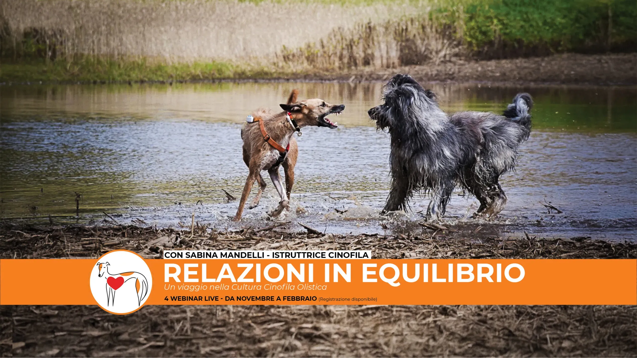 locandina relazioni in equilibrio scaled