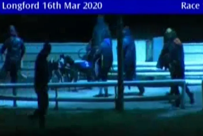 longford greyhound track 16 march 2020 49686575781 o