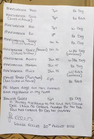 louise eccles permission 2 2