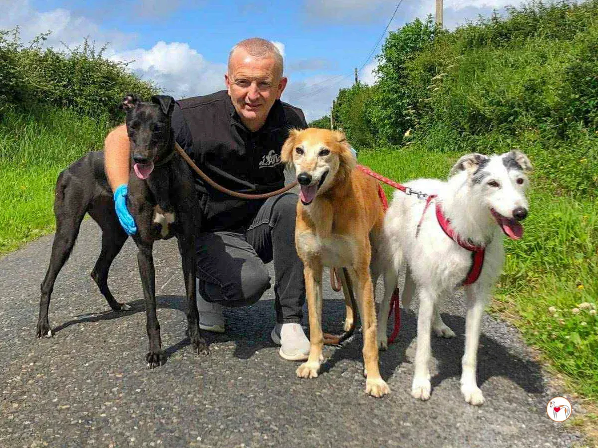 luca grey adozione 02