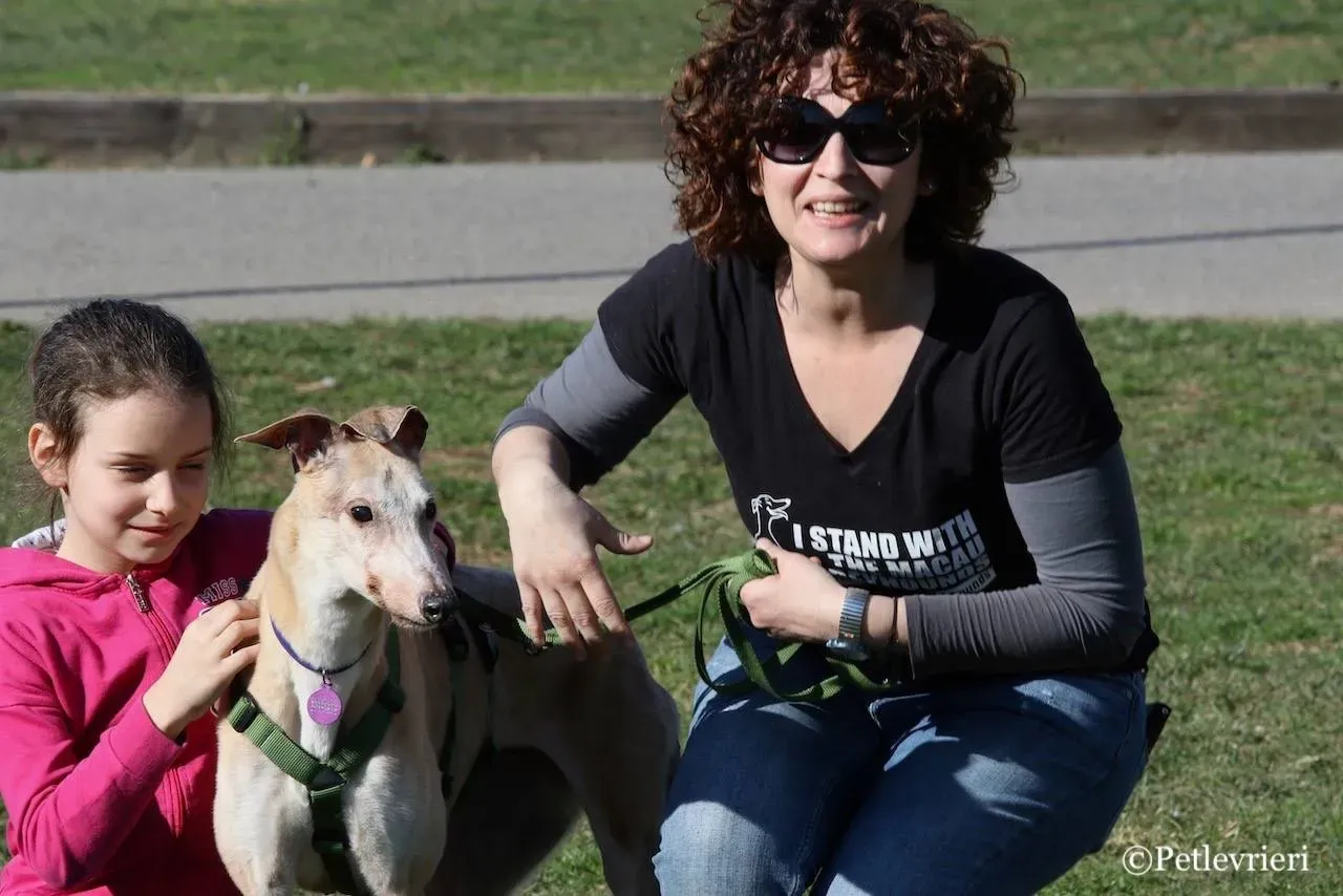 lucky forever adozione greyhound macao 12