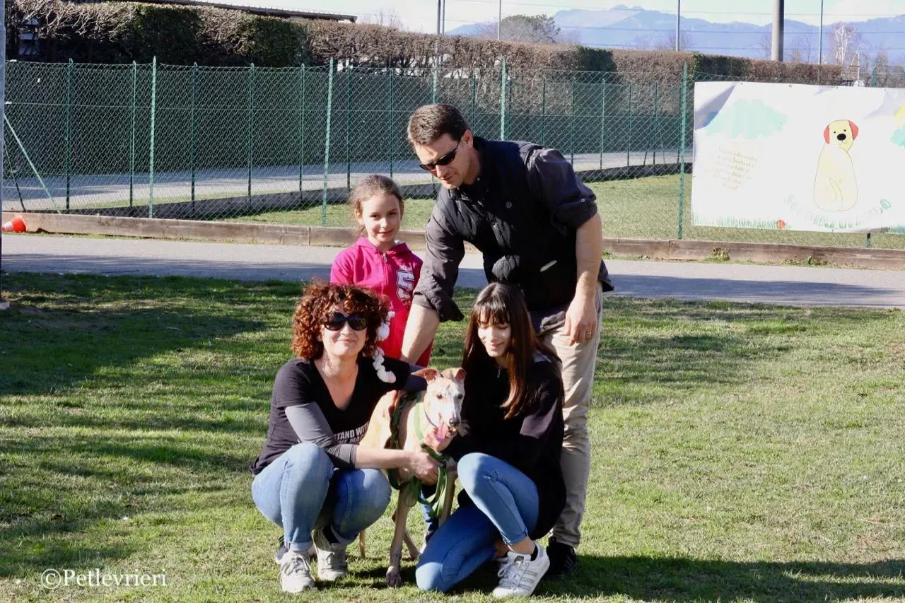 lucky forever adozione greyhound macao 19