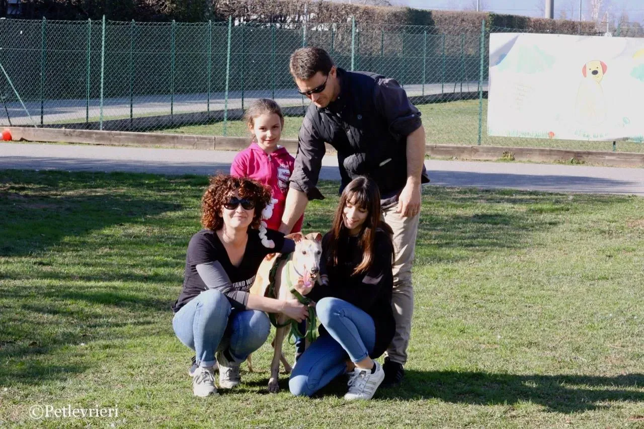lucky forever adozione greyhound macao 2 1