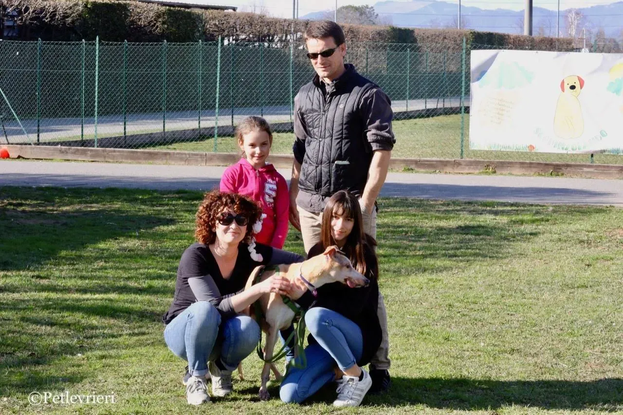 lucky forever adozione greyhound macao 20