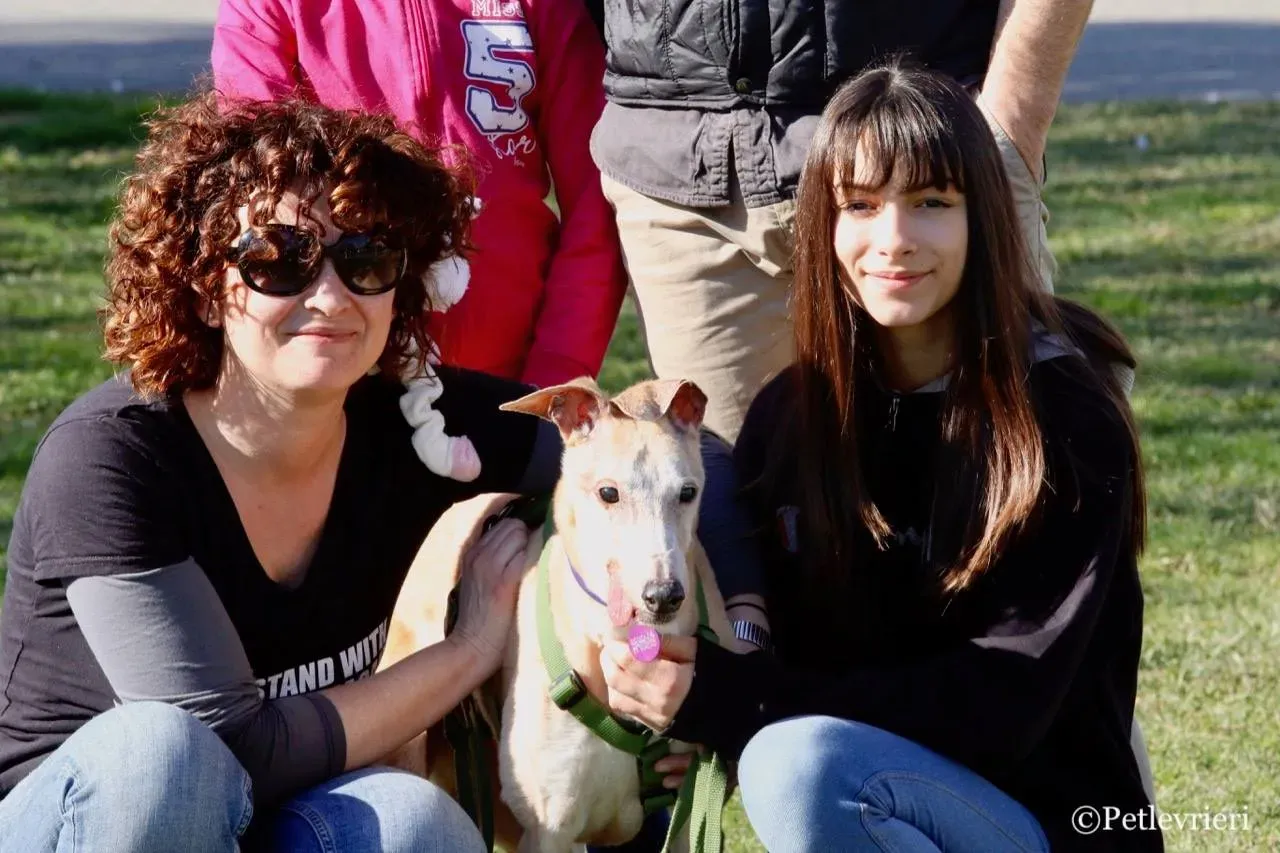lucky forever adozione greyhound macao 21