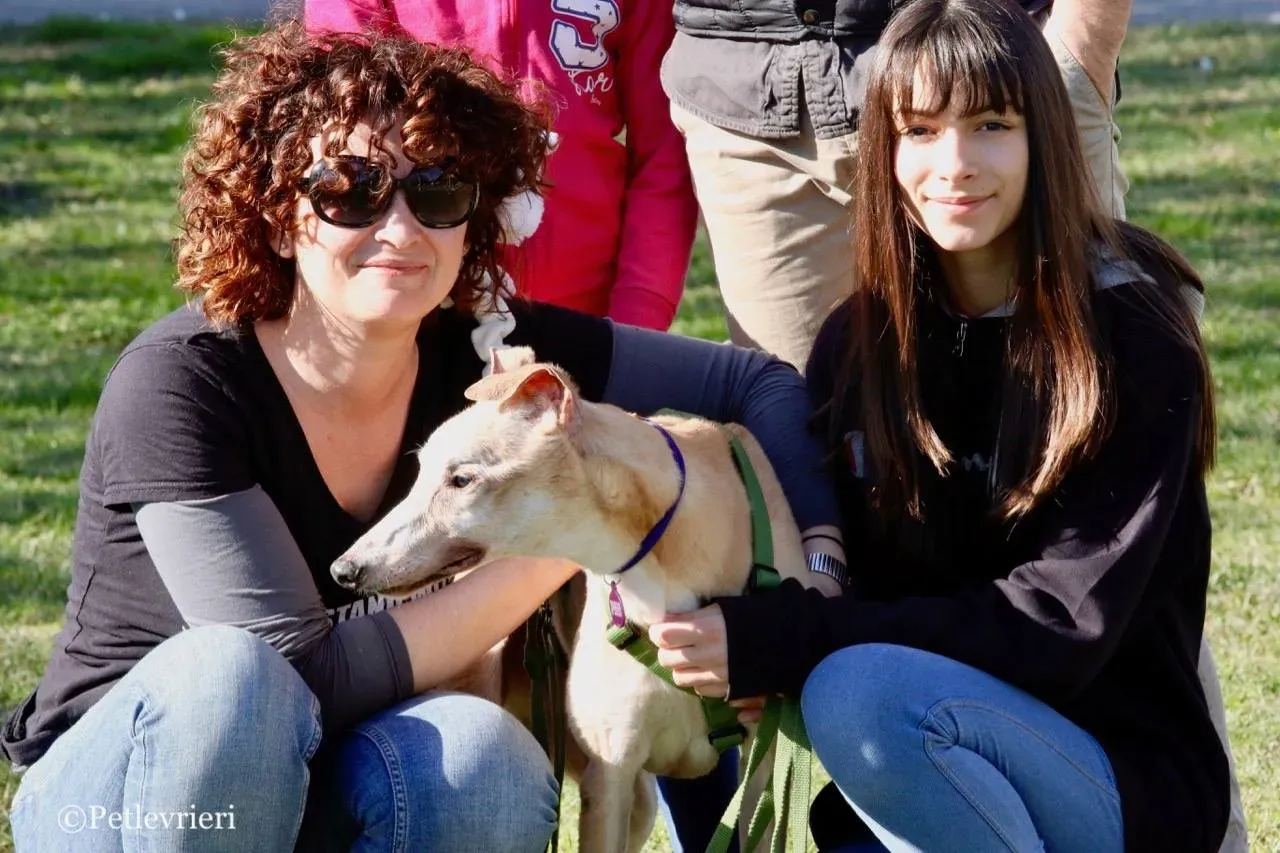 lucky forever adozione greyhound macao 22