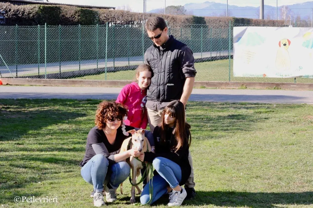 lucky forever adozione greyhound macao 23