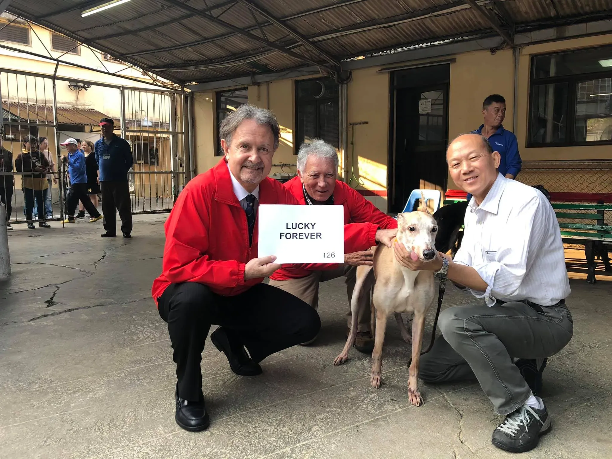 lucky forever partenza greyhound macao
