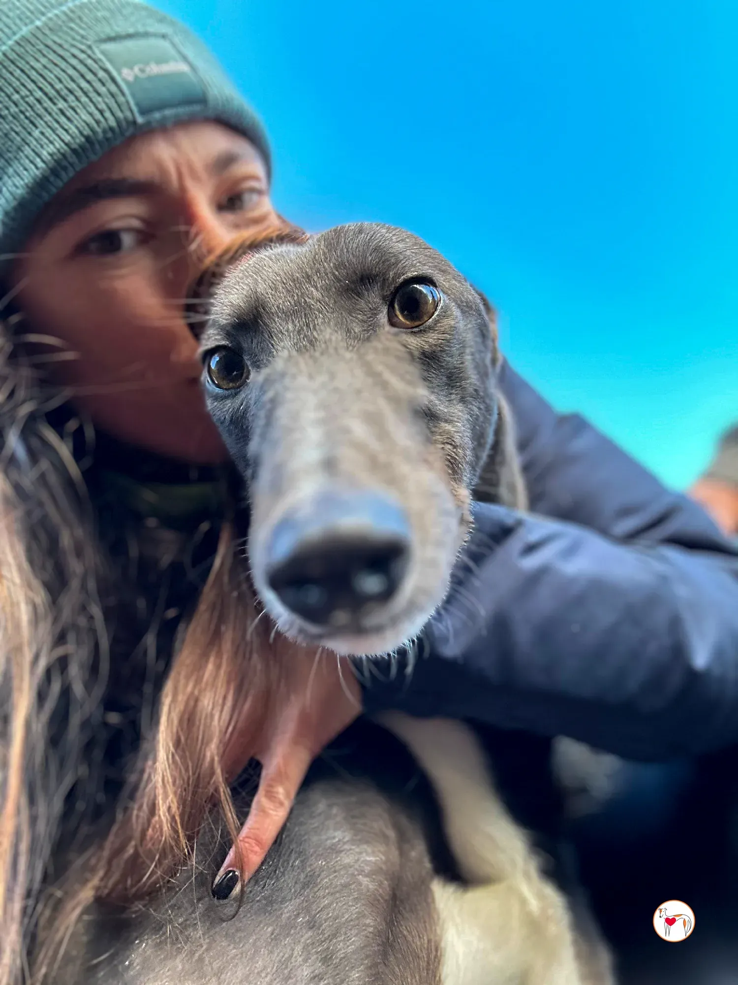 lyles grey adozione 14