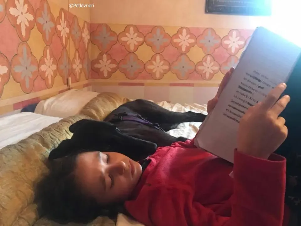 lyn adozione greyhound macao 12