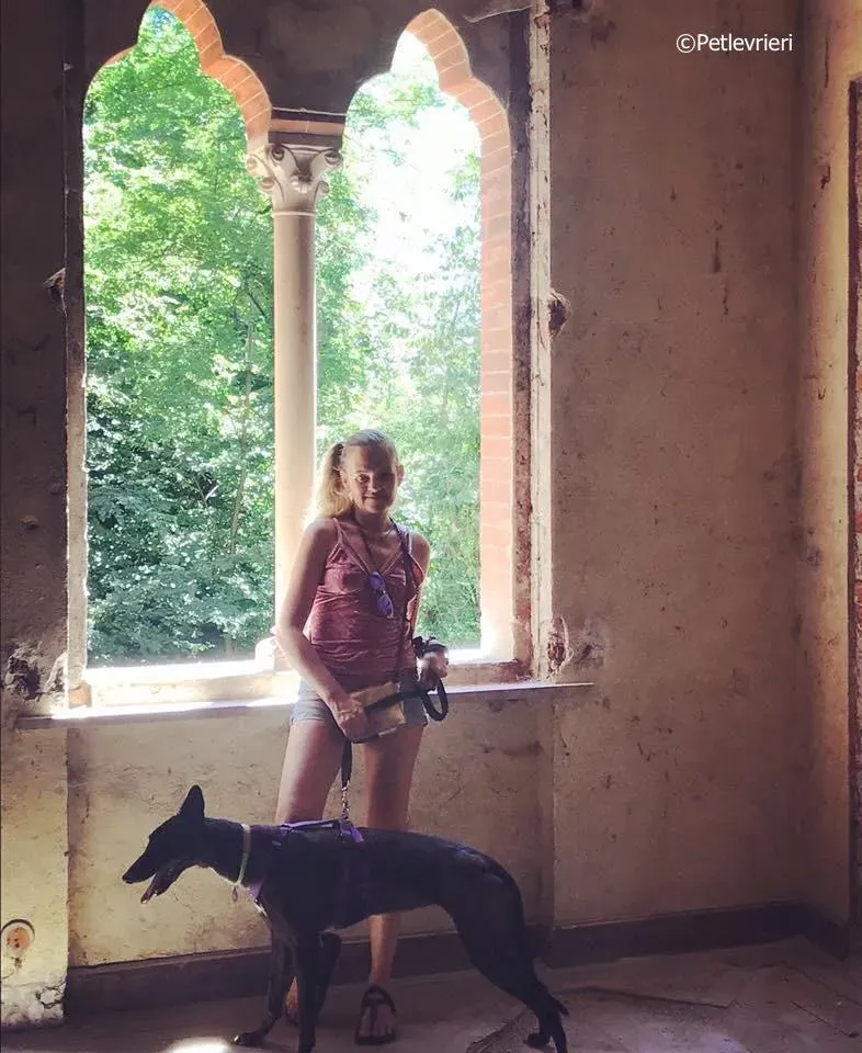 lyn adozione greyhound macao 19