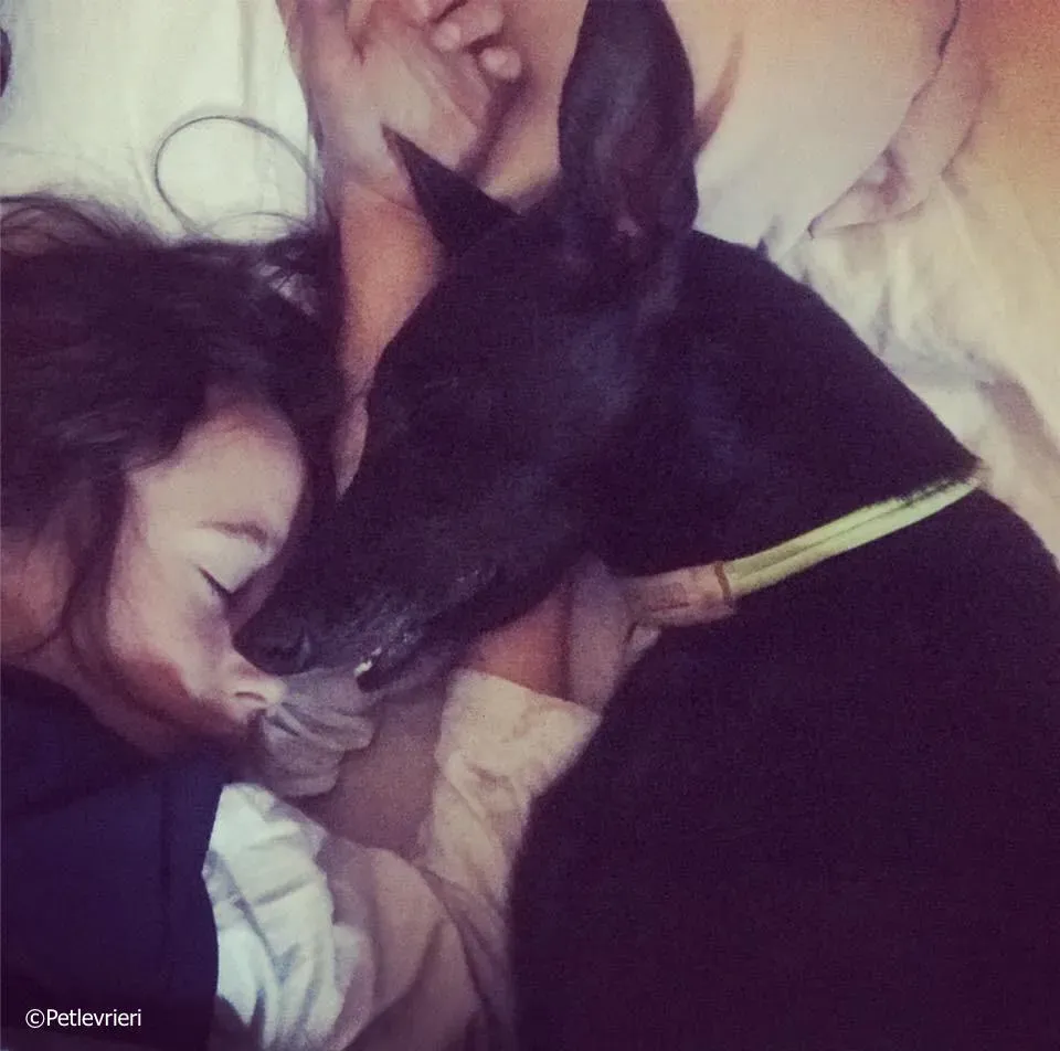 lyn adozione greyhound macao 3