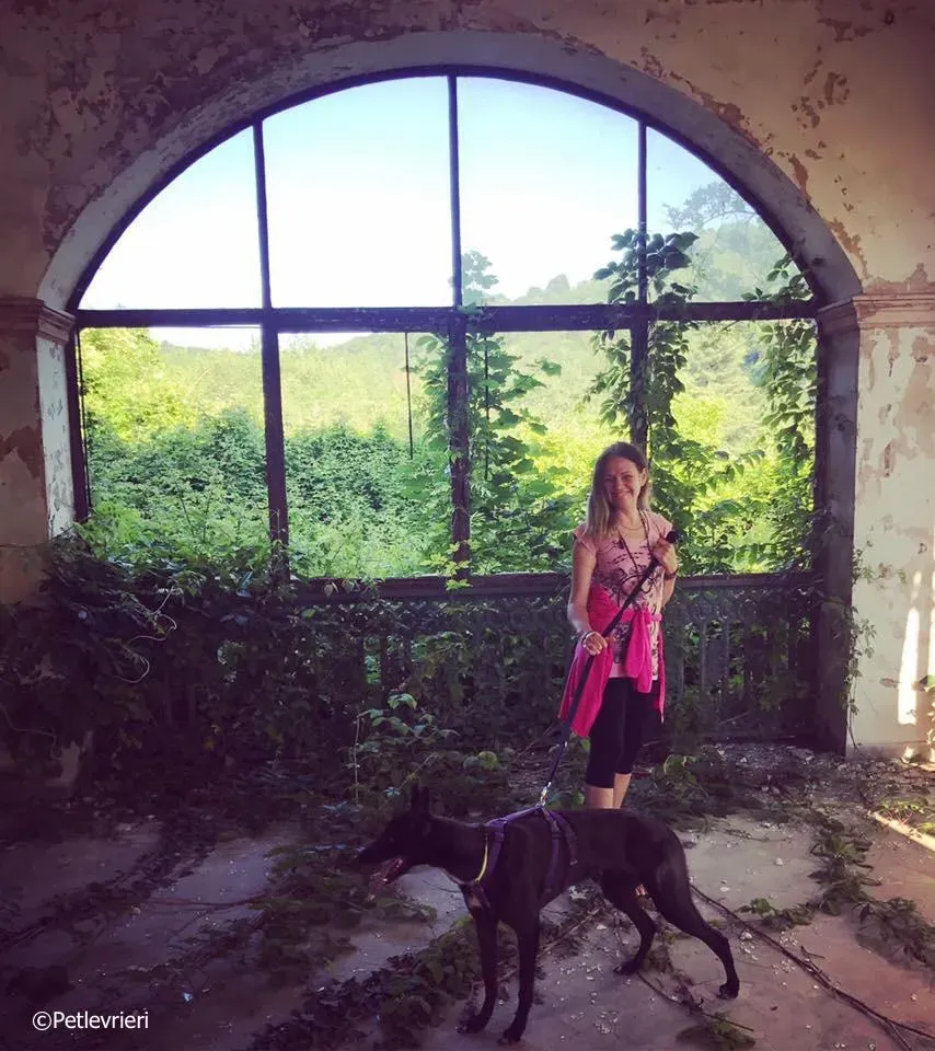 lyn adozione greyhound macao 11