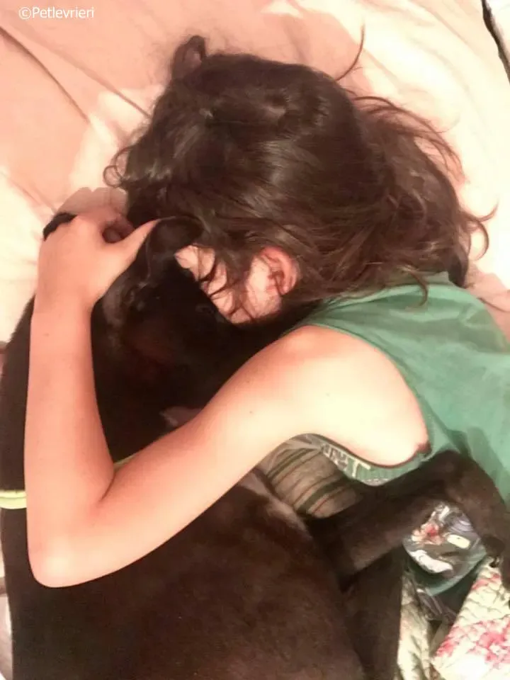 lyn adozione greyhound macao 15