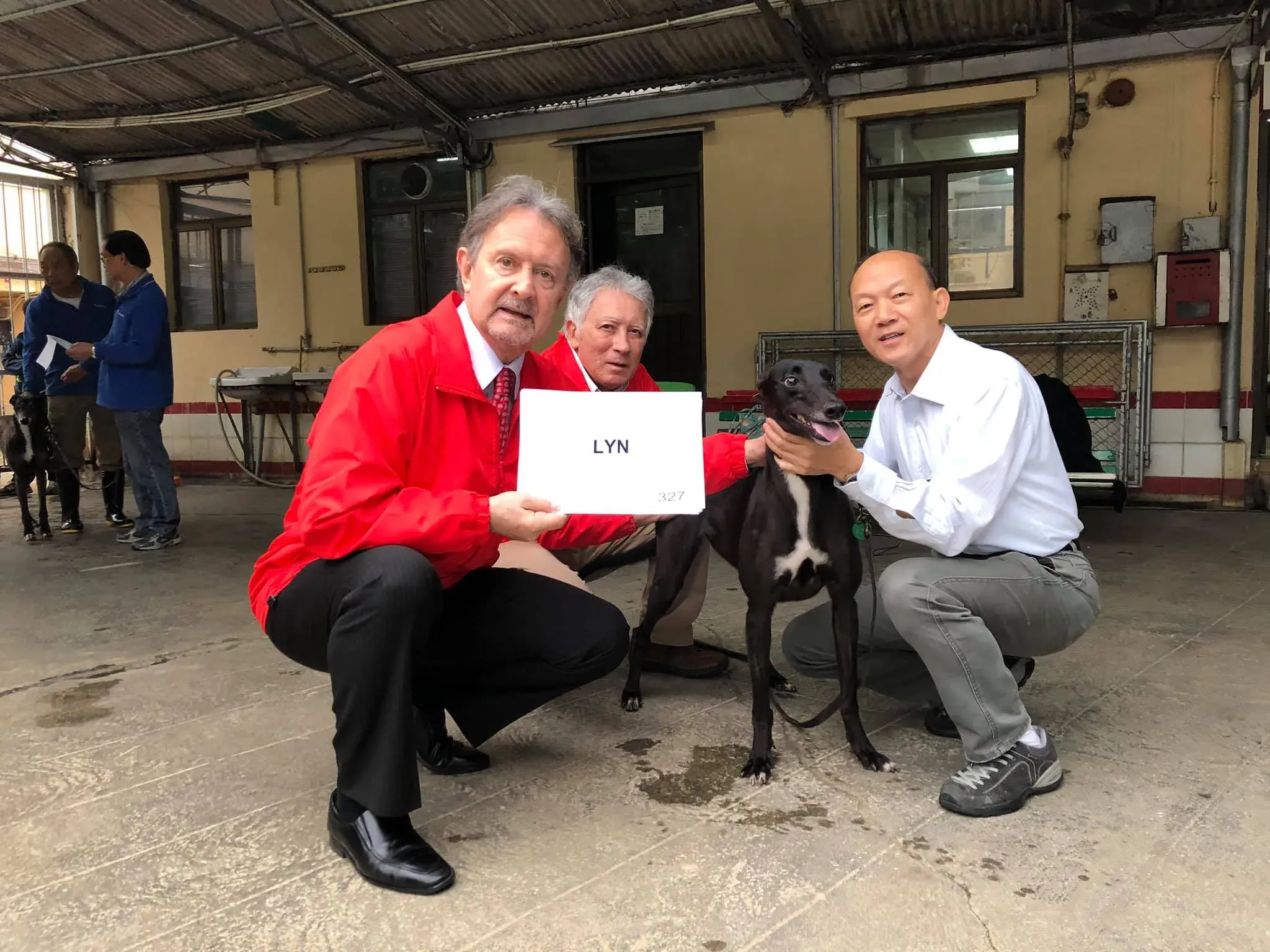 lyn partenza greyhound macao