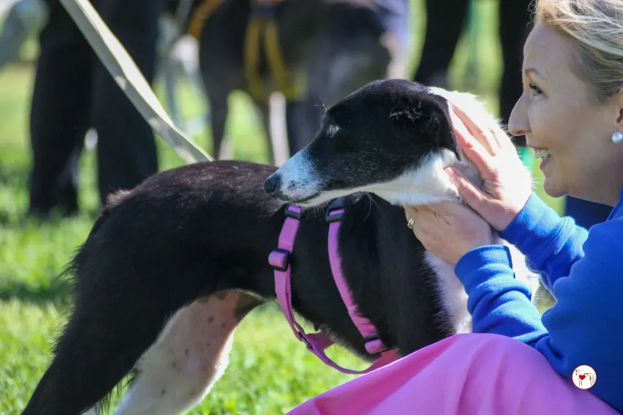 mable arrivogrey20aprile2024 300 large