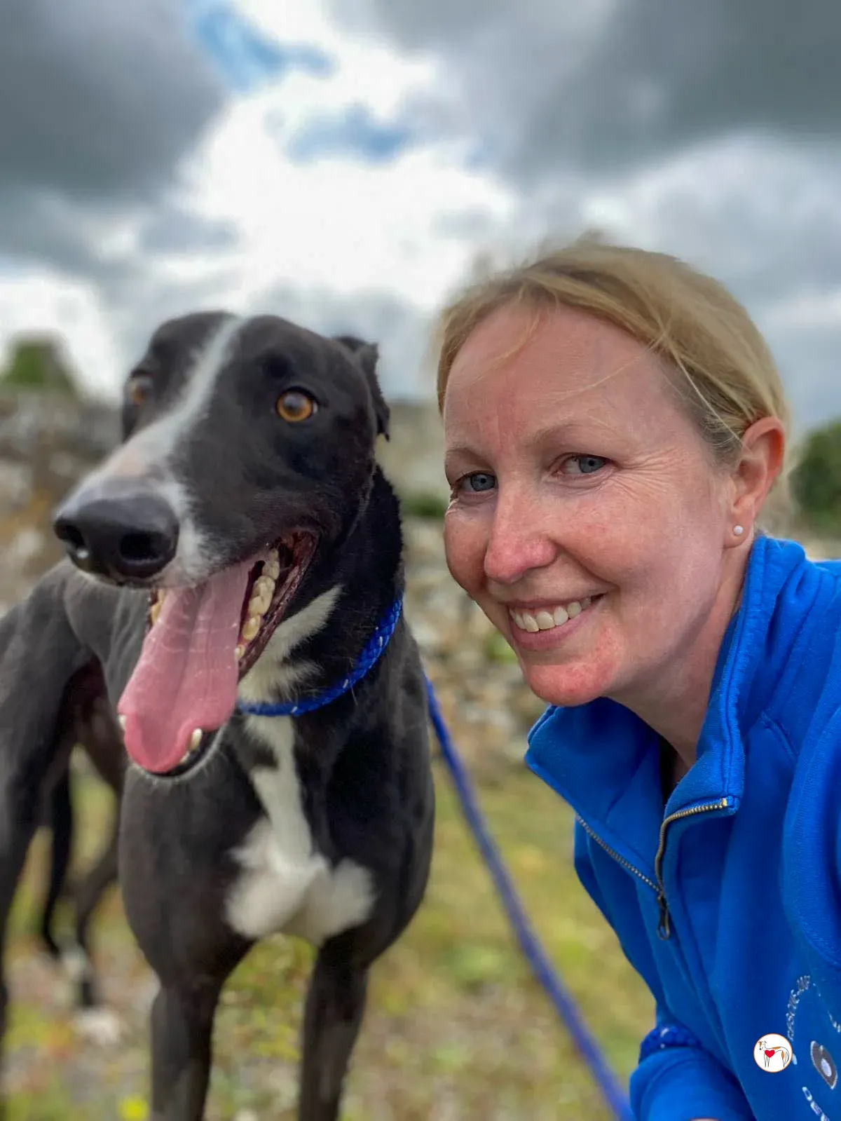 magnus grey adozione 22